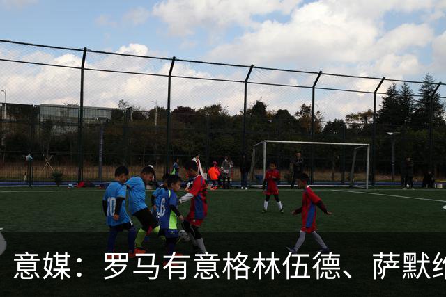 意媒：罗马有意格林伍德、萨默维尔，追逐后者面临巴黎曼联竞争